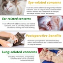 cat-antibiotics-antibiotics-for-cats-nat-5.jpg