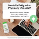 neuroscience-adrecor---adrenal-support-e-5.jpg