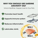 sardine-anchovy-oil-1296mg-omega-unscent-5.jpg