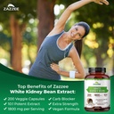 zazzee-white-kidney-bean-101-extract-180-3.jpg