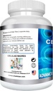 Celulas Madres 60 Capsules Vitamisan 1000 mg Aphanizomenon Flos-aquae Blue Green Algae AFA Stem Natural Cell 5