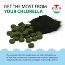 Sun Chlorella 200 mg Green Algae Superfood Supplement - Pulverized Cell Wall - Chlorophyll, CGF, Active B12, Iron, Protein - Non-GMO - 1500 Tablets 5