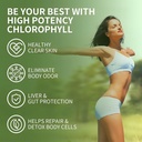 2 Pack Irish Sea Moss Gummies with Elderberry, Bladderwrack, Burdock, Chlorophyll - Digestion, Skin, Hair and Enhance Immunity - Adults Kids Women Men, 120 Blueberry Flavored Gummies 4