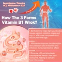 Vitamin B1 & Methylated Vitamin B Complex Gummies - All B Vitamins, Benfotiamine, Thiamine & Inositol, Methylated B1 B2 B6 Multivitamins, L-methylfolate, Methyl B12 for Nerve Cognition Energy, 60 Cts 6