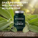 Betterbrand BetterLungs Daily Respiratory Health Supplement (60 Capsules) | with NAC, Vitamin D, Elderberry, Ginseng, Mullein, and Reishi Mushroom | for Lung Health and Allergy Relief (Pack of 2) 3