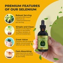 Go Nutrients Selenium 1 oz Liquid Drops, 60 mL - Supports Thyroid Function, Energy, and Metabolism 3