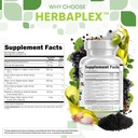 Clean Nutraceuticals Oregano Oil Garlic Extract Olive Leaf Black Seed Oil - Immune Support & Digestive Health Supplement for Women and Men with Vitamin D3 & Zinc - 3Pack 5