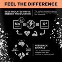 Drink LMNT Sparkling Electrolyte Drink - Grapefruit Salt | 12-Count 4