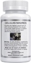 Celulas Madres Stem Cell Enhancer 3
