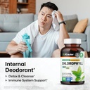 BIO KRAUTER Chlorophyll Capsules - Internal Deodorant and Detox Supplement - Vegan Immune Support Caps - 3 Months Supply 3