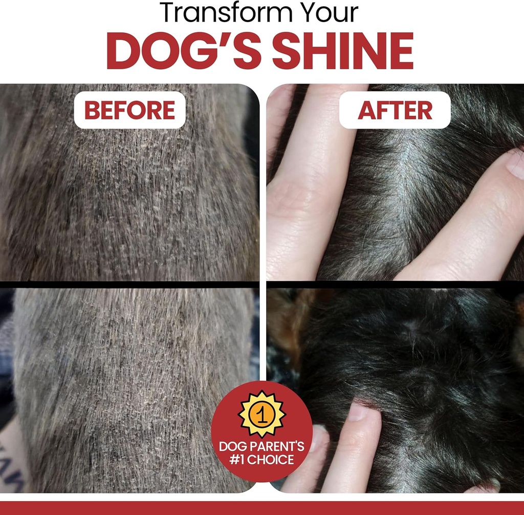 Omega for Dogs - 180 Delicious Soft Chews - Salmon Oil Treats for Skin and Coat, Itch Relief - Fish Oil Blend of Essential Fatty Acids, Omega 3, 6, and 9, and Vitamins - Smoked Bacon Flavor 5