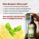 Barlean's 2 Pack Olive Leaf Complex Throat Spray with Peppermint, Lemon, and Sage for Itchy Throat Relief, Immune Support Supplement, Liquid Blended Extract, 1.5 oz 4