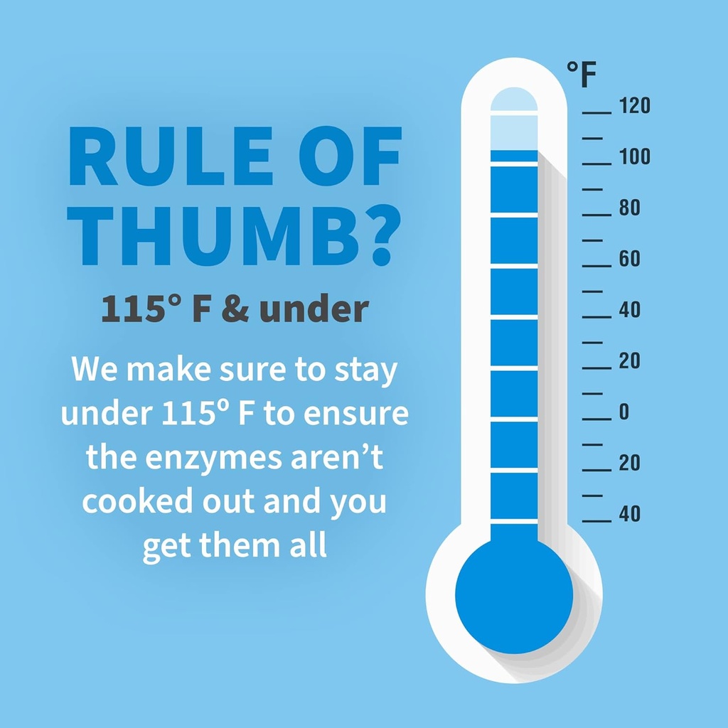 Garden of Life 22 Digestive Enzymes for Men 50 & Over with Bromelain, Papain & Lactase Plus Probiotics & Vitamins B12, Biotin & Zinc – RAW Enzymes – Non – GMO, Gluten-Free, Vegetarian, 90 Capsules 5