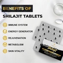 30,000 MG Shilajit Tablets, 100% Shilajit Pure Tablets for Women & Men, Himalayan Organic, Fulvic Acid & 85+ Trace Minerals, Resin Supplement for Energy and Immune System, 120 Counts 6