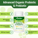 Probiotics for Women Men- 300 Billion CFU, 24 Strains Probiotic+15 Organic Herbs Prebiotics Blend, Pre and Probiotics, for Digestive Health, Immune & Gut, Diarrhea, Bloating, Vegan, 2 Month Supply 6
