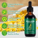 Mullein Drops for Lungs, Mullein Leaf Extract for Lungs, Natural Mullein Herbal Supplements, Mullein Chlorophyll Drops for Lungs, Lung Cleanse for Smokers - 2.02 fl oz 4