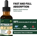 Astragalus Root Extract Herbal Drops for Immune System Support, Immunity Health & Energy Boost Tincture Supplements with Rhodiola Rosea, Echinacea, Elderberry, Reishi, Ginseng. Huang Qi. 2oz 5