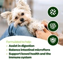 Probiotic Chews for Dogs Gut Health | Tasty Pre and Probiotics for Dogs Digestive Health with Pumpkin Dog Probiotics and Digestive Enzymes | NASC Certified & Made in The USA | 60 Chews 6