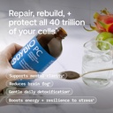 BodyBio PC - Phosphatidylcholine for Brain Health, Mental Clarity, Cognitive Function, Cellular Repair & Healthy Aging, Phospholipid Complex Supplement for Gentle Daily Detox 4