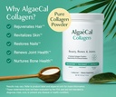 ALGAECAL Collagen - 4 Clinically-Supported Peptides VERISOL®, FORTIGEL®, UC-II®, FORTIBONE®, Anti-Aging Hydrolyzed Collagen Powder, 60 Servings, Made in USA 4