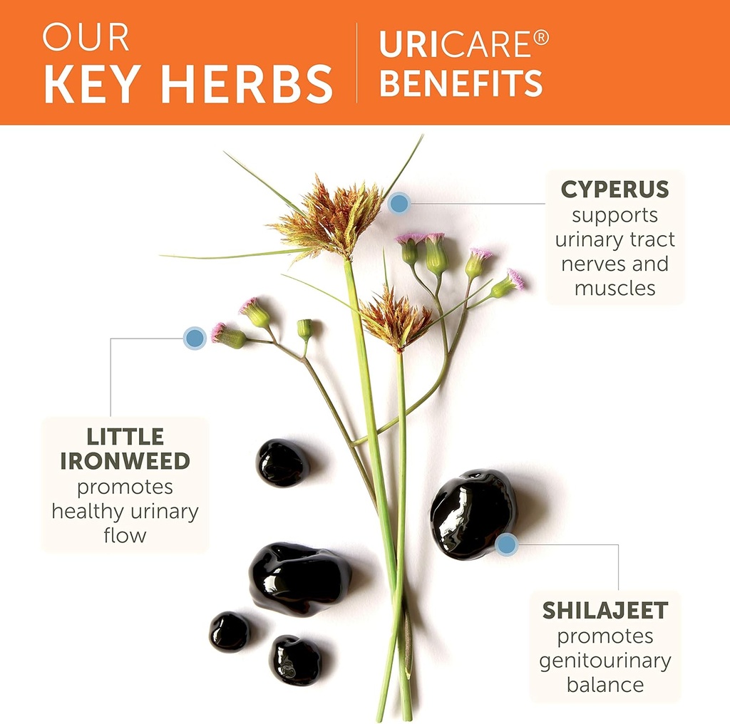 Himalaya UriCare – Herbal Kidney & Bladder Support with Shilajeet, Didymocarpus & Pasanabheda – Promotes Urinary Tract Health & Comfortable Urine Flow – Non-GMO, Gluten-Free, Vegetarian – 120 Capsules 5