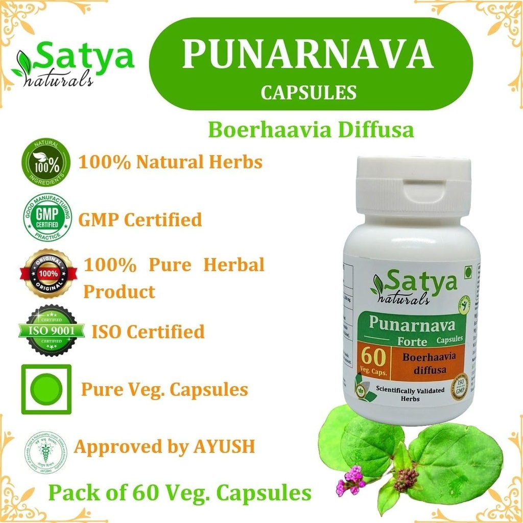 Punarnava Forte Capsule 500 mg. 60 Veg. Capsule | Punarnava (Boerhaavia Diffusa) Extract Capsules for Men and women | Ayurvedic Herbal Supplement/Remedies | 10:1 Forte (1 Bottle of 60 Capsules) 6