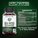 irish-sea-moss-gummies---3000mg---formul-5.jpg