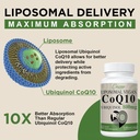 Liposomal CoQ10 800mg Ubiquinol Softgel, Max Absorption Ubiquinol Coenzyme Q10, Ubiquinol CoQ10 Supplement for Antioxidant, Heart Function & Energy Production, Pure CoQ10 800mg, 240 Vegan Softgels 5