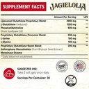 Liposomal Glutathione 2000 mg with L-Serine, L-Glycine & Sulforaphane – Active L-Glutathione Unique Formulation to Enhance Absorption - Master Antioxidant, Detoxifying & Immune | 240 Softgels 3