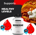 Research Labs 2 Fer 1 Ad - 1500mg Clinical Grade Berberine High Absorption Formula & BerberQuil™ Support. 180 Total Capsules. 500mg Each Capsule 3