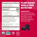 Om Mushroom Superfood Brain Fuel+ Gummies, 28 Servings, Raspberry Gummy Supplement with Lion’s Mane for Memory and Focus 6