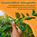 LUV Everyday™ Men's Multivitamin Men's Adult Formula Daily Nutritional Support with Iron Calcium KSM-66 Ashwaganda CoQ10 and Lycopene - Highly Bioavailable Non GMO Gluten Free Vegetarian - 60 Capsules 6