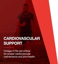 PROTOCOL FOR LIFE BALANCE Ultra Omega 3-D - 600mg EPA, 300mg DHA & 1,000 IU Vitamin D3 - Fish Oil for Brain Support - EPA DHA Omega Supplement - Non-GMO & Halal - 90 Softgels 4