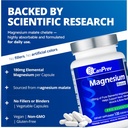 CanPrev Magnesium Malate, 120 Veg Caps, 120-Day Supply, 180mg Elemental Magnesium & 540mg Malic Acid, Vegan & Non-GMO, Supports Relaxation, Energy, Muscle Function, Bone Strength & Overall Well-Being 4