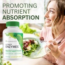 Youngevity Ultimate Enzymes® - Multi Enzymes for Digestion, Gas & Bloating Relief - Betaine HCl, Ox Bile, Pancreatine 10X, Papain 6M, Pepsin 1:3000 (120 Capsules - 4 Pack) 6