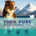 Liquid Fish Oil for Dogs with Omega 3, 6 & 9 Fatty Acids, Wild Caught from Iceland, Skin and Coat Supplement for Shedding, Itchy Skin, Allergies, Brain and Heart Health, Rich in EPA + DHA - 32 oz 3