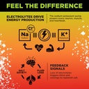 LMNT Zero Sugar Electrolytes - Mango Chili Salt | Drink Mix | 30 Count 6