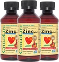 CHILDLIFE ESSENTIALS Liquid Zinc Plus for Kids & Toddler - Liquid Supplement Drops, Zinc Gluconate & Copper for Immune Support - Mango Strawberry, 4 Fl Oz (Pack of 3) 2