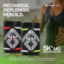 Fossil Fuel BCAA Sugar-Free Post-Workout Powder with BCAA’s, Glutamine, Vitamin B6 After Workout, Amino Acids for Muscle Recovery, Endurance and Hydration, Honeydew Watermelon (30 Servings) 4