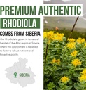 Max Strength Siberian Rhodiola®: Rhodiola Rosea 5% Rosavins, 2% Salidroside & BioPerine® for Enhanced Absorption – Helps Support Stress, Energy & Focus* – Grown in Siberia, DNA Verified (60 Capsules) 5