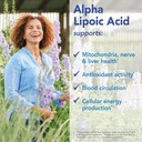 Patient One Alpha Lipoic Acid (ALA) 200 mg | Antioxidant Supplement to Support Nerve and Liver Health* | 90 Capsules 5