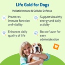 Pet Wellbeing Life Gold for Dogs - Vet-Formulated - Immune Support and Antioxidant Protection - Natural Herbal Supplement 2 oz (59 ml) 3