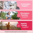 YumVs Beet Root Gummies with Magnesium and Vitamin C - Berry Flavor Beetroot Gummies - Beet Chews for Blood Circulation and Antioxidant Support - Red Beet Gummy- Berry 60 Count (Pack of 1) 5