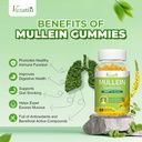Mullein Gummies, Mullein Leaf Extract with Bromelain, Quercetin, Pine Bark Support Lung Cleanse for Healthy Breathing, 60ct 5