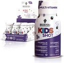 BEE and You Kids Immune Support Supplement, 100% Natural Propolis, Vitamin C, Elderberry, Raw Honey, Antioxidants, Alternative to Gummies, Great Taste, 12 Pack, 1.69 fl. oz Each 2