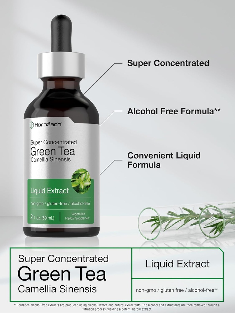 Horbäach Green Tea Extract Liquid Drops | 2 Fl Oz | Herbal Tincture | Alcohol Free | Vegetarian | Super Concentrated Supplement | Non-GMO, Gluten Free 5