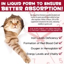 Liquid Iron Supplements for Cats and Kittens - with Folate and B12 – Supplements Anemia, Promotes Blood Health, Oxygen Supply and Blood Cell Formation – Increase Low Energy Levels – Lethargy - 2 oz 3