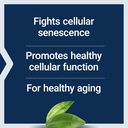 life-extension-geroprotect-ageless-cellT-4.jpg