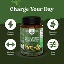 Bundle of Pure Green Coffee Bean Extract for Antioxidant Heart Health Mental Focus and Size Reduction and Cleanse and Detox Activated Charcoal Capsules for Bloating Relief and Body Detox Cleanse 5