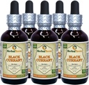 Black Currant (Ribes nigrum) Tincture, Dried Leaves Liquid Extract (Brand Name: HerbalTerra, Proudly Made in USA) 2x2 fl.oz (2x60 ml) 4